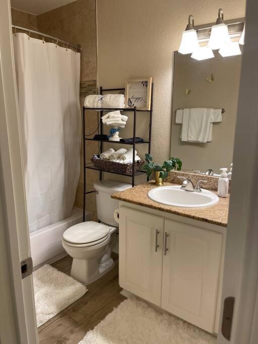 Beautiful/Spacious 2 Bedroom Houston Near Galleria Eksteriør billede
