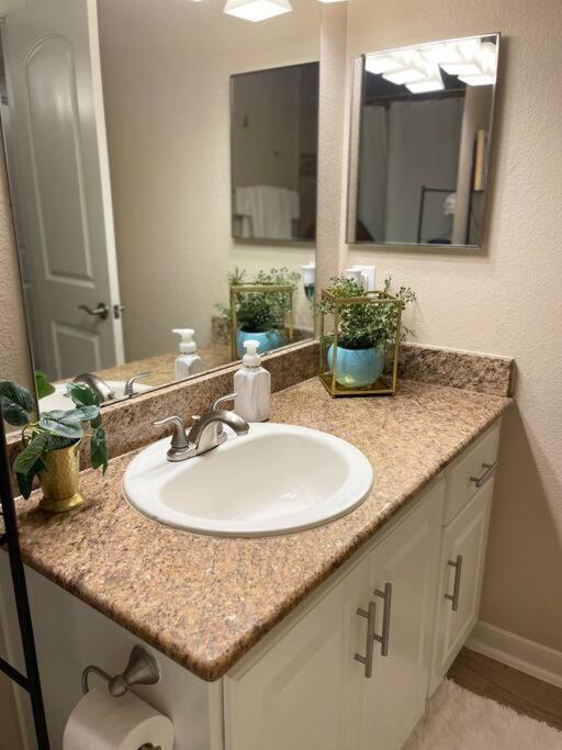 Beautiful/Spacious 2 Bedroom Houston Near Galleria Eksteriør billede